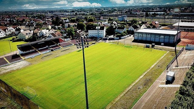 这两位备受 这两位备受