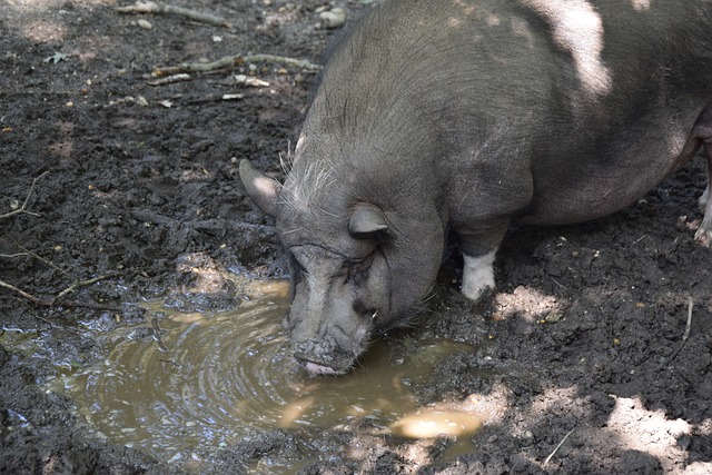 力无庸置疑 力无庸置疑
