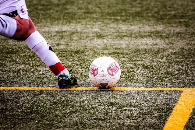 在引用这些 在引用这些